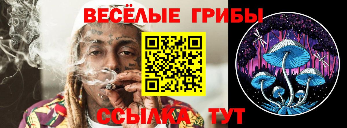 Галлюциногенные грибы Psilocybe Людиново