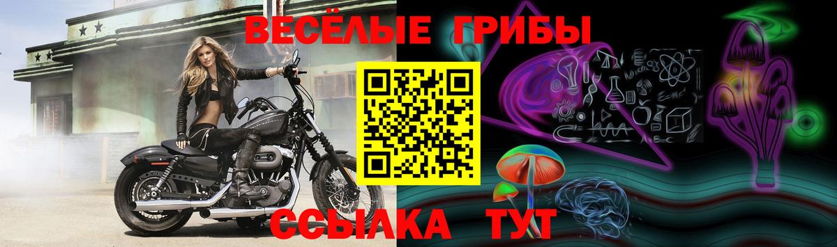 Галлюциногенные грибы MAGIC MUSHROOMS  Людиново  Псилоцибиновые грибы ЛСД 